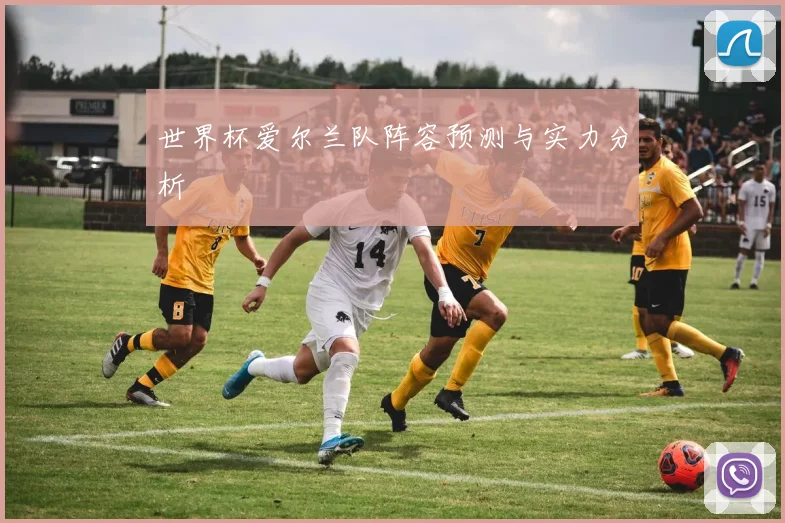 世界杯爱尔兰队阵容预测与实力分析